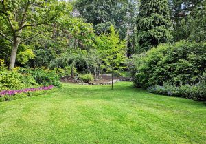 Optimiser l'expérience du jardin à Saint-Ganton